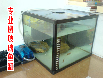 ���˲�����ס����ȴ��㲣��������估����